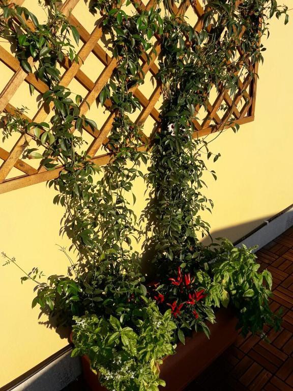 B&B Al Civico Рим Екстер'єр фото